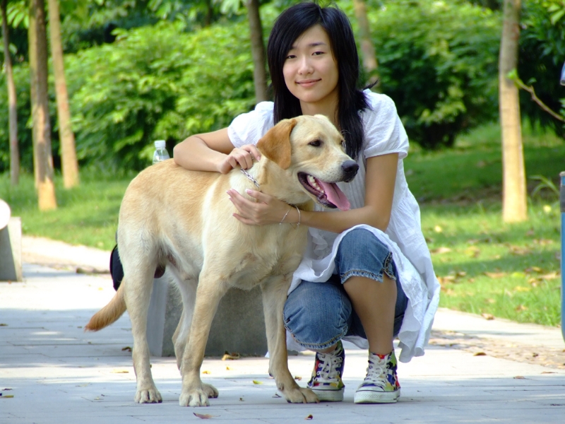 风中的绿叶的第一张照片--呼和浩特相亲服务中心