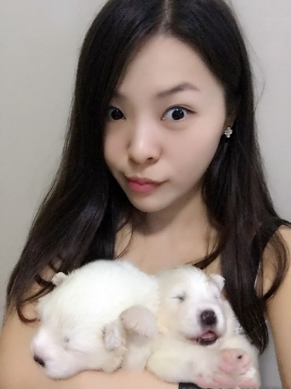 如果可以的第三张照片--呼和浩特相亲服务中心