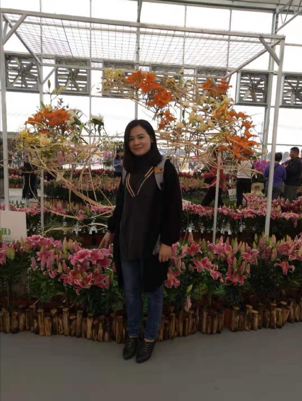 紫苏的第一张照片--呼和浩特相亲服务中心