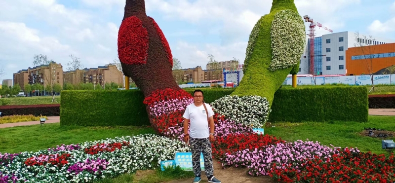 尘埃的第一张照片--呼和浩特相亲服务中心