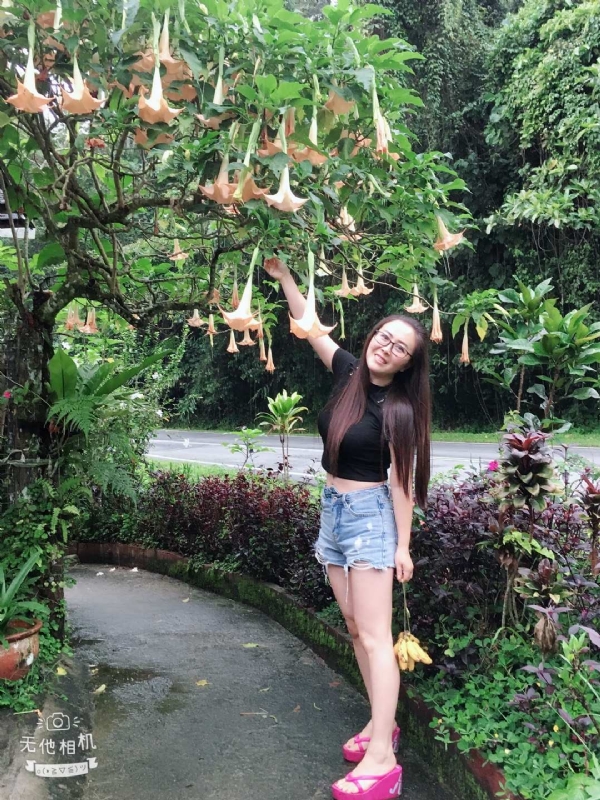 离异单身无子的第二张照片--呼和浩特相亲服务中心