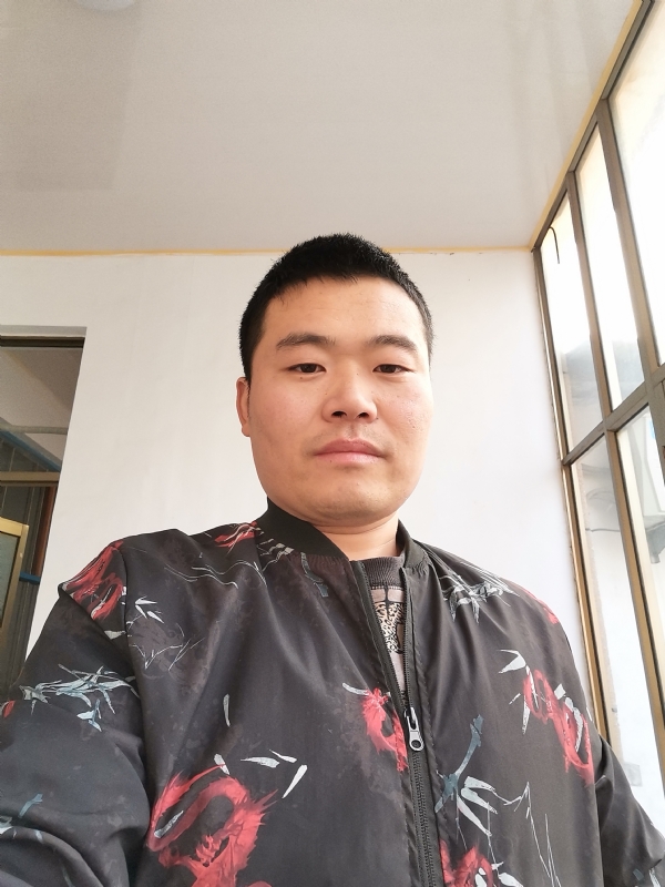 会飞的猪的第一张照片--呼和浩特相亲服务中心