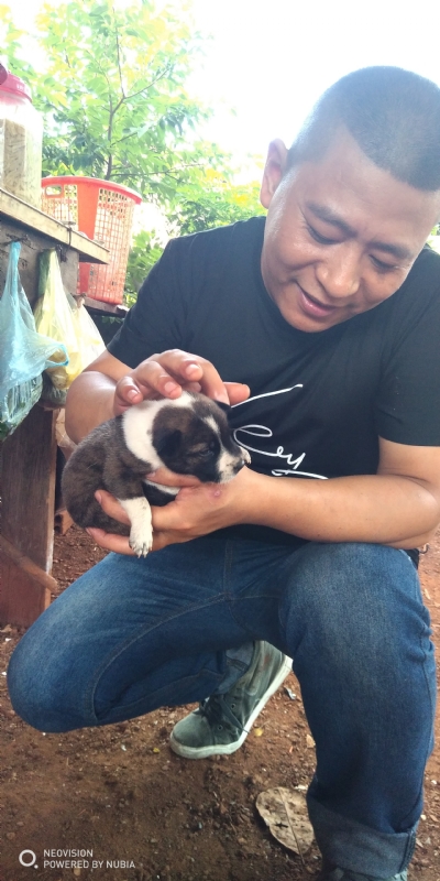 深圳相亲的第一张照片--呼和浩特相亲服务中心