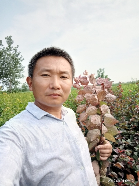 孩子爸的第一张照片--呼和浩特相亲服务中心