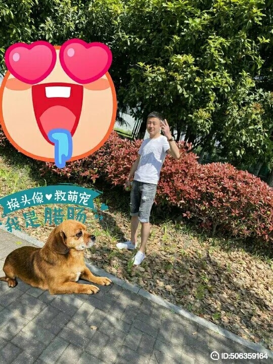 我若不坚强谁替我勇敢的第五张照片--呼和浩特相亲服务中心