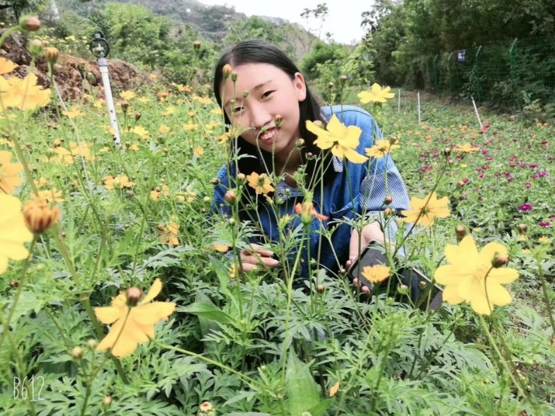 哈哈的第一张照片--呼和浩特相亲服务中心