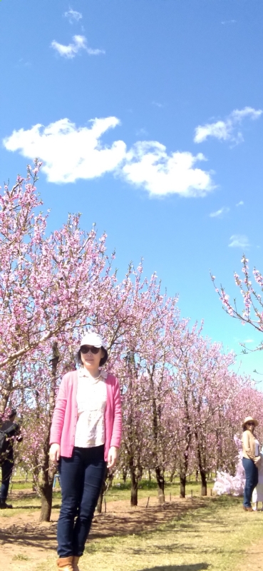 Grace的第二张照片--呼和浩特相亲服务中心