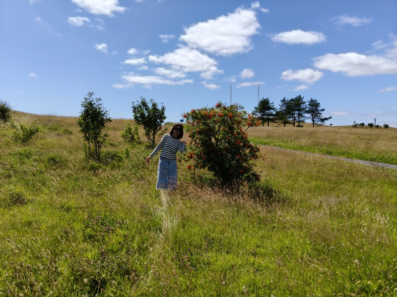 秋蝉的第一张照片--呼和浩特相亲服务中心