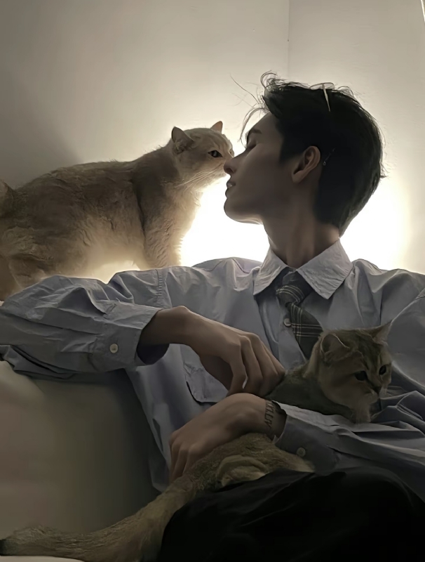 怪猫的第一张照片--呼和浩特相亲服务中心