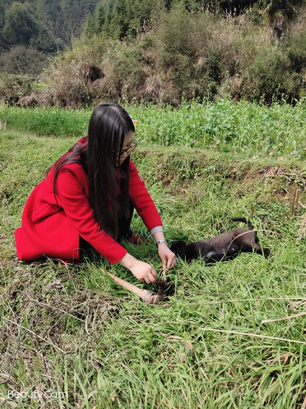 下一个春和秋的第一张照片--呼和浩特相亲服务中心