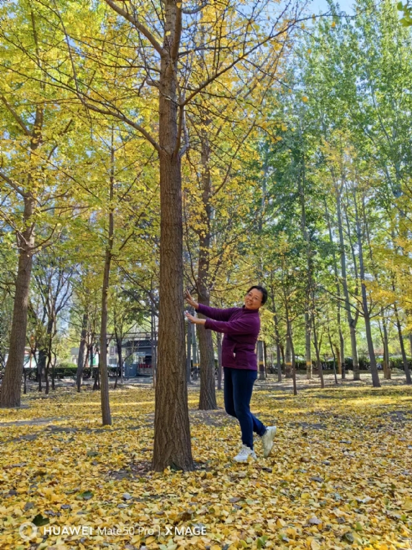 Shirley的第二张照片--呼和浩特相亲服务中心