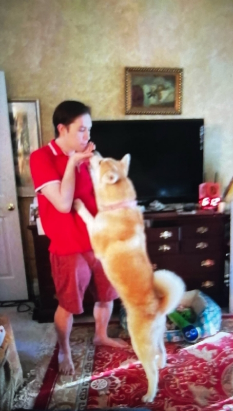 Leluch的第一张照片--呼和浩特相亲服务中心