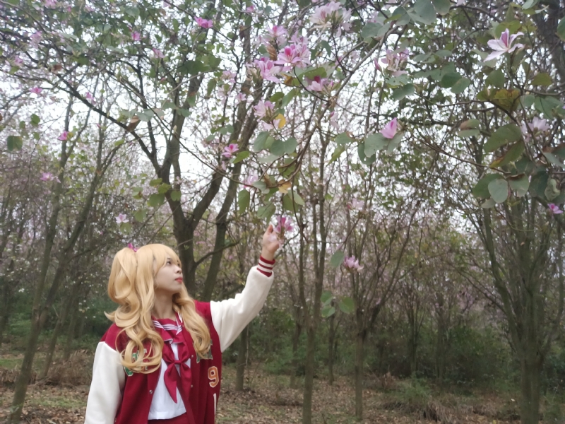 暮秋的第一张照片--呼和浩特相亲服务中心