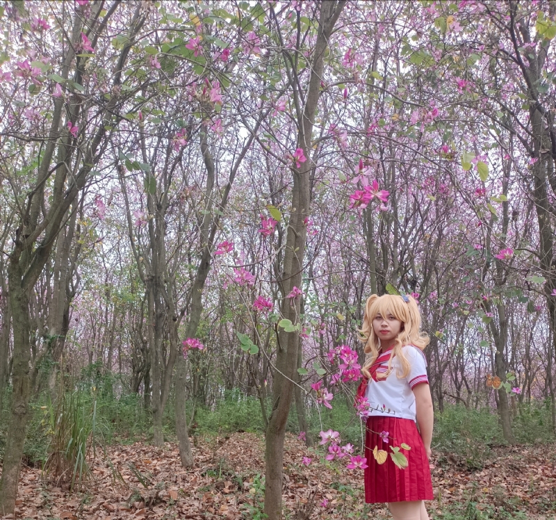 暮秋的第三张照片--呼和浩特相亲服务中心