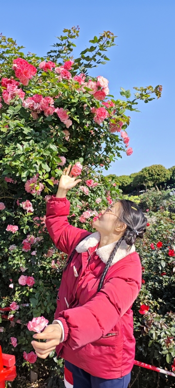 狗狗的第一张照片--呼和浩特相亲服务中心