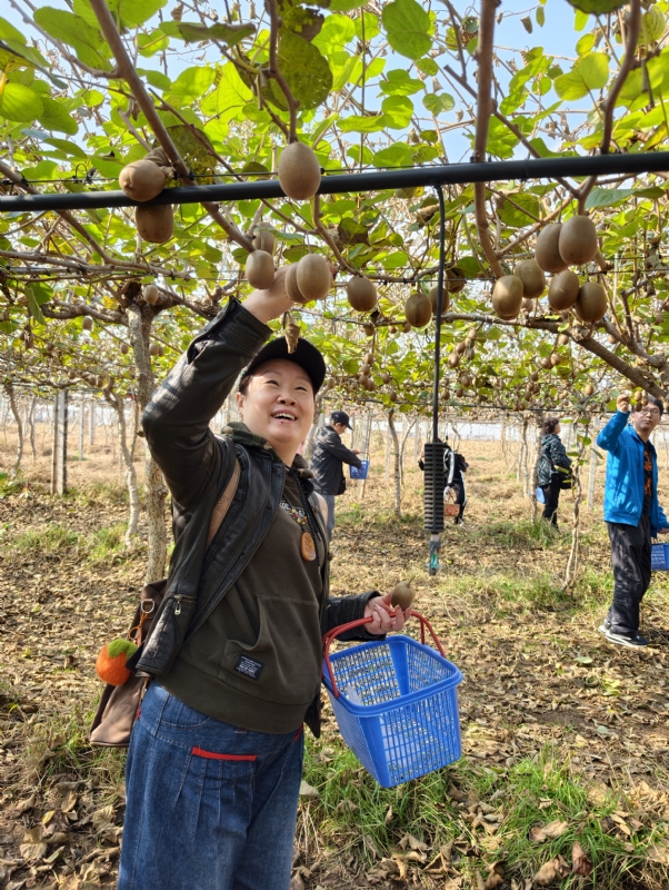夜莺的第三张照片--呼和浩特相亲服务中心